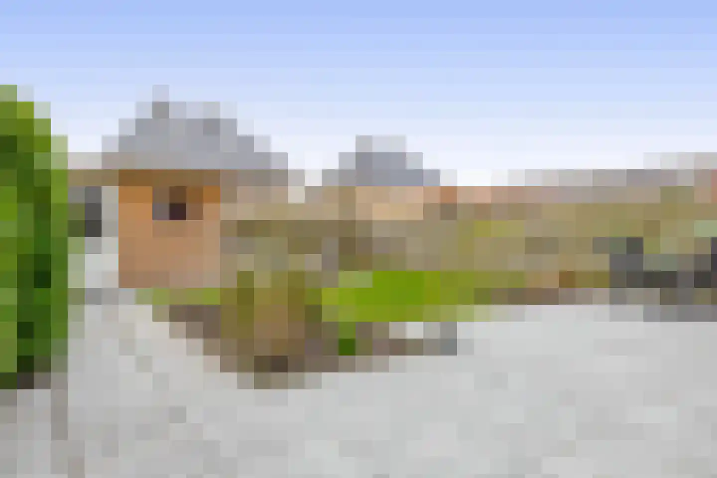 Kastanjeleane 78 Lemmer thumbnail 23