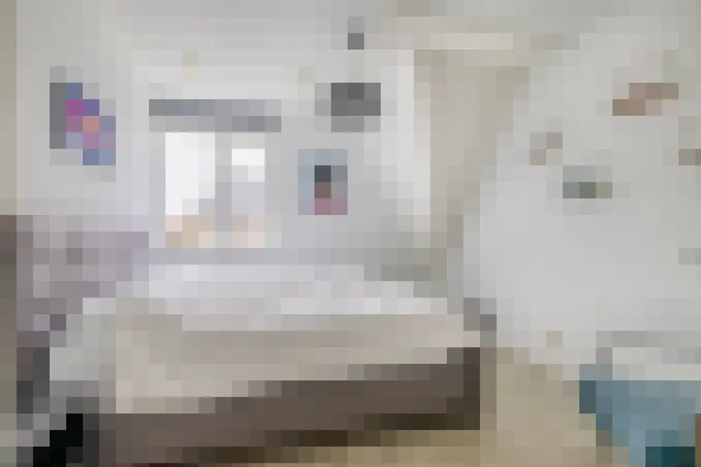 Kastanjeleane 78 Lemmer thumbnail 32