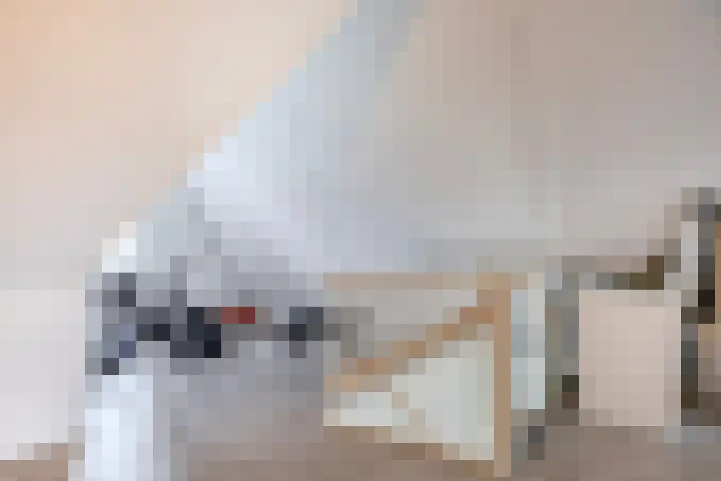 Kastanjeleane 78 Lemmer thumbnail 42