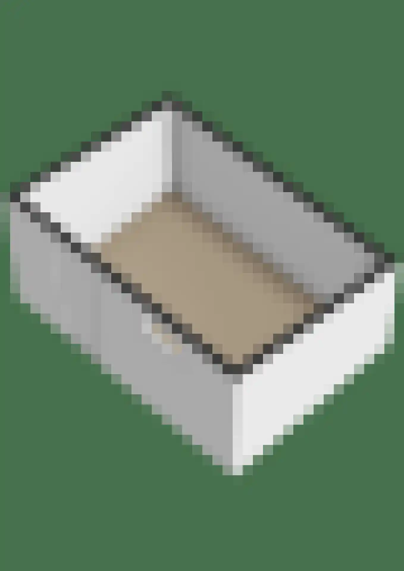 Kastanjeleane 78 Lemmer thumbnail 54
