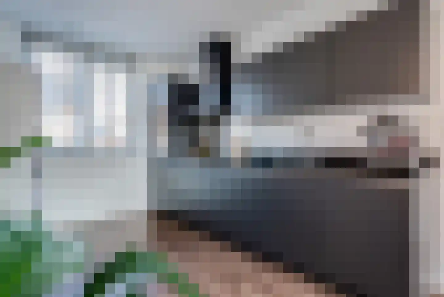 Kastanjeleane 90 Lemmer thumbnail 14