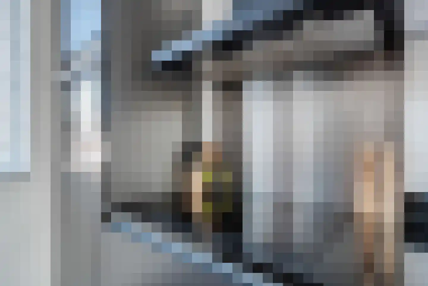 Kastanjeleane 90 Lemmer thumbnail 15