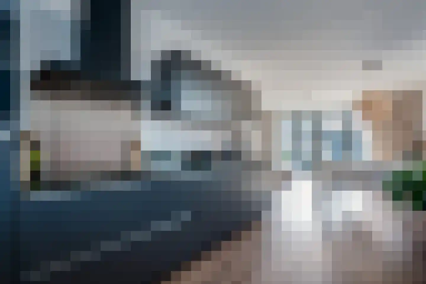 Kastanjeleane 90 Lemmer thumbnail 16