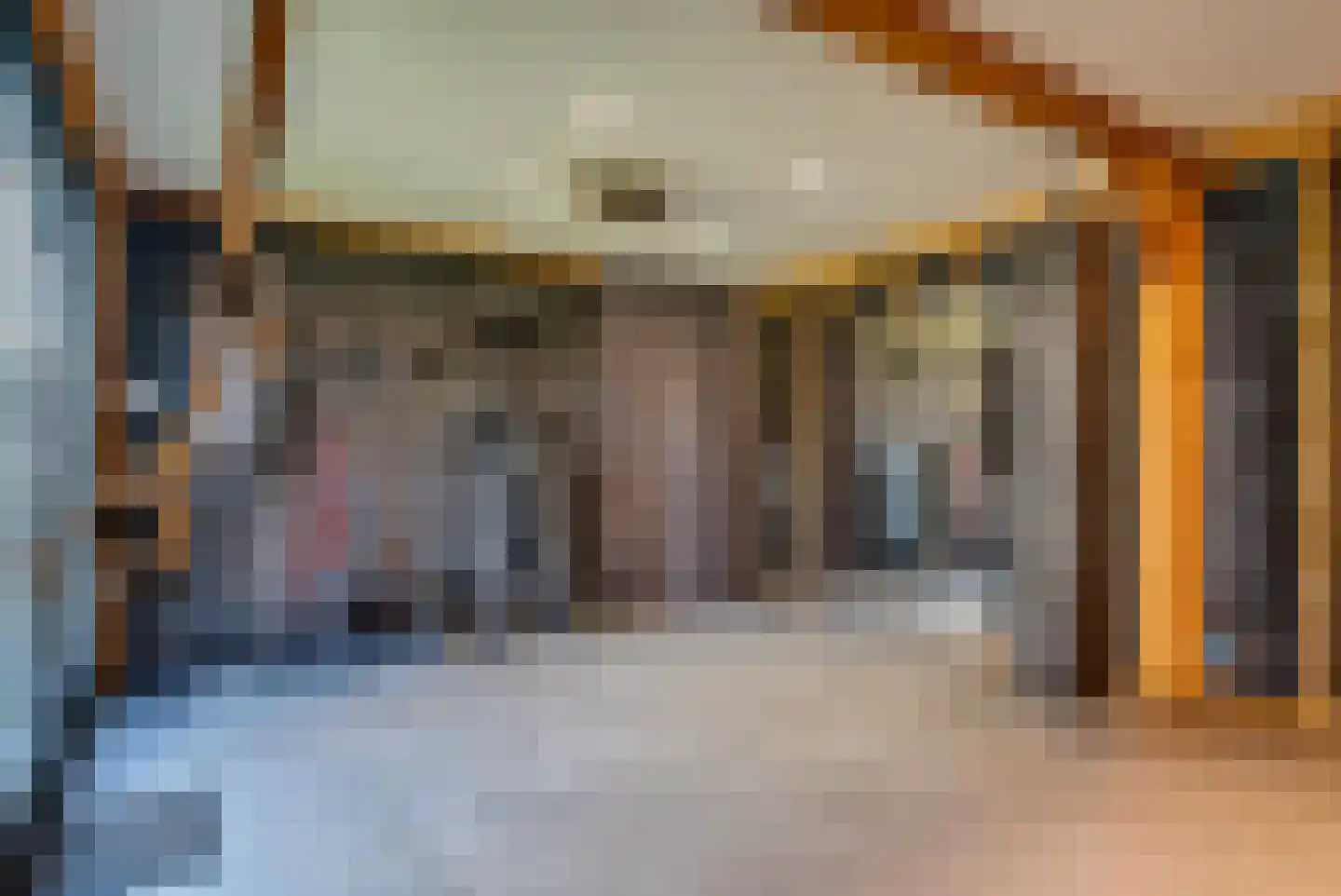 Kastanjeleane 90 Lemmer thumbnail 34