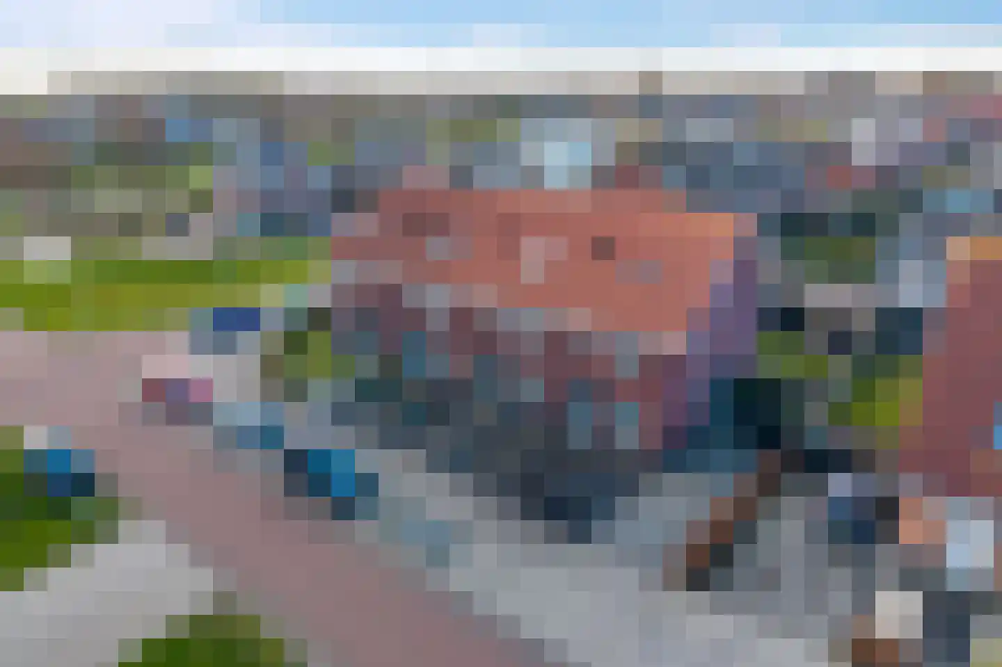 Kastanjeleane 90 Lemmer thumbnail 37