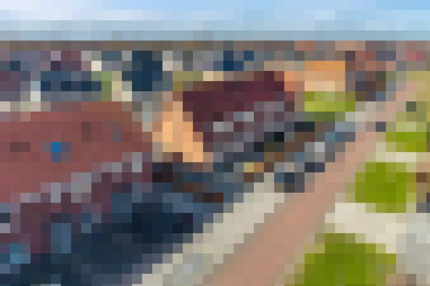 Kastanjeleane 90 Lemmer thumbnail 39