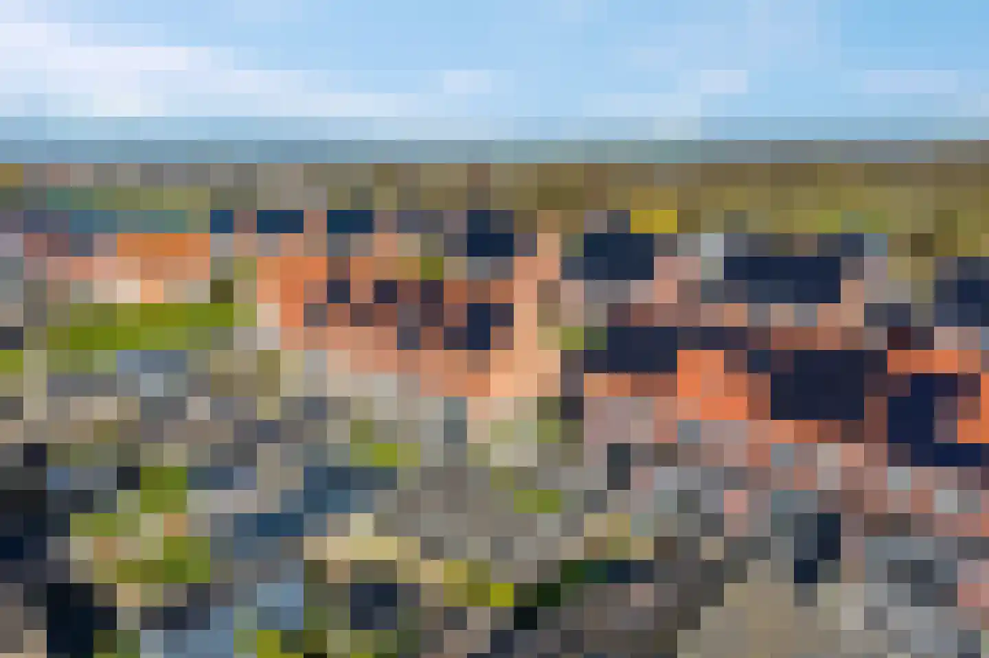 Kastanjeleane 90 Lemmer thumbnail 40