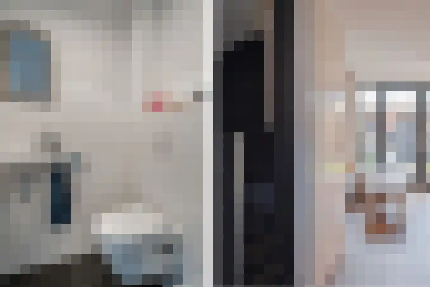 Kastanjeleane 90 Lemmer thumbnail 7