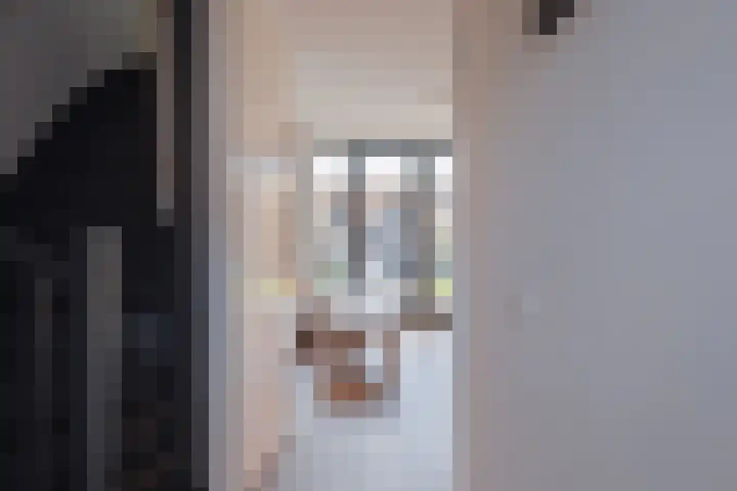 Kastanjeleane 90 Lemmer thumbnail 8
