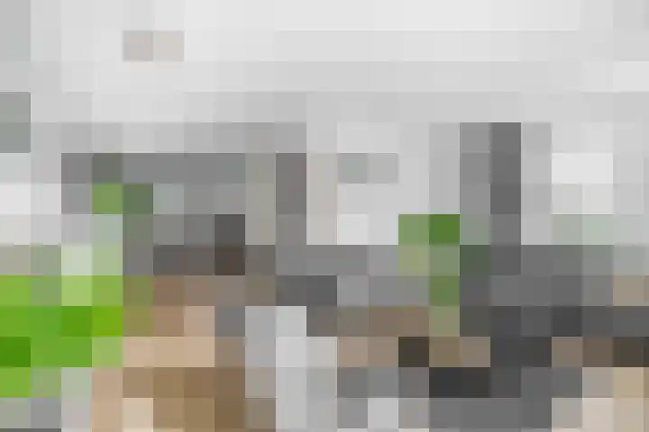 Kastanjeleane 97 Lemmer thumbnail 10