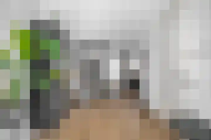 Kastanjeleane 97 Lemmer thumbnail 11