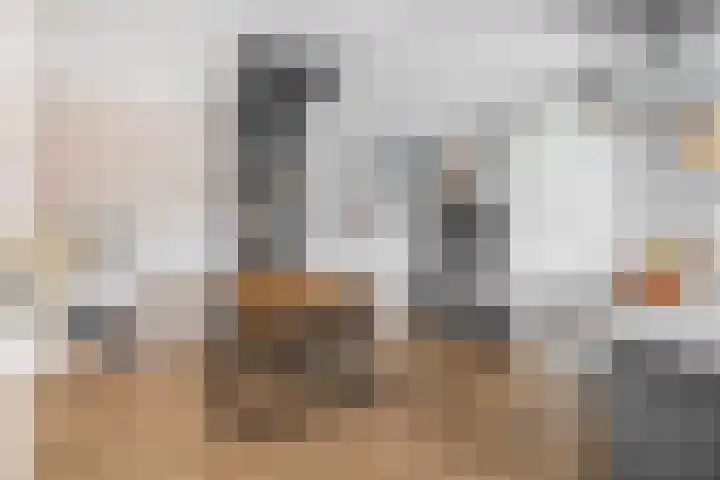 Kastanjeleane 97 Lemmer thumbnail 12