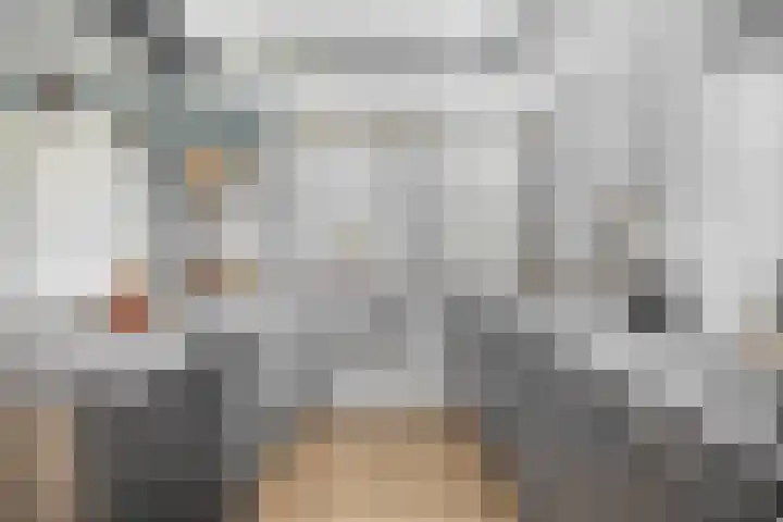 Kastanjeleane 97 Lemmer thumbnail 15