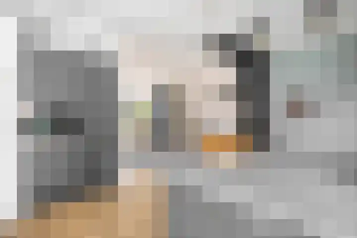 Kastanjeleane 97 Lemmer thumbnail 16