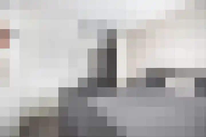 Kastanjeleane 97 Lemmer thumbnail 21