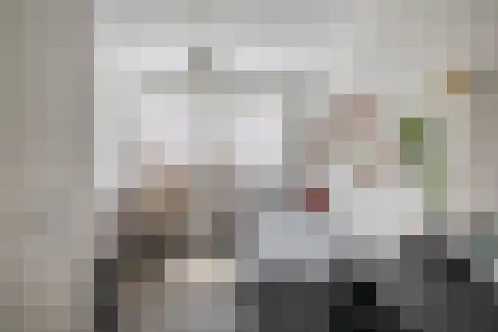 Kastanjeleane 97 Lemmer thumbnail 26