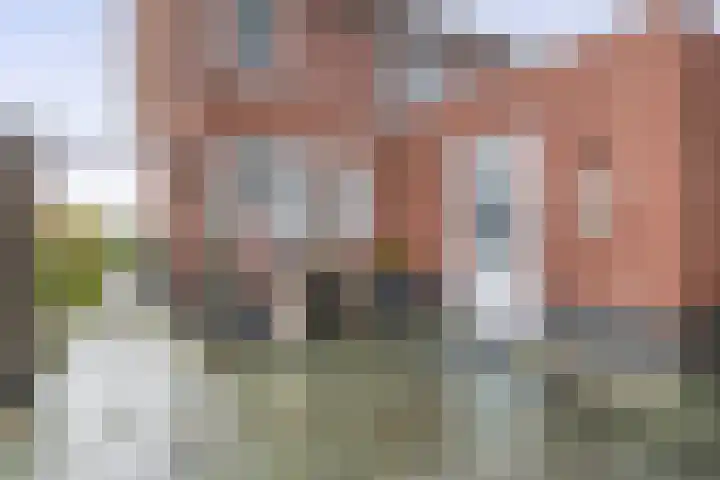 Kastanjeleane 97 Lemmer thumbnail 29