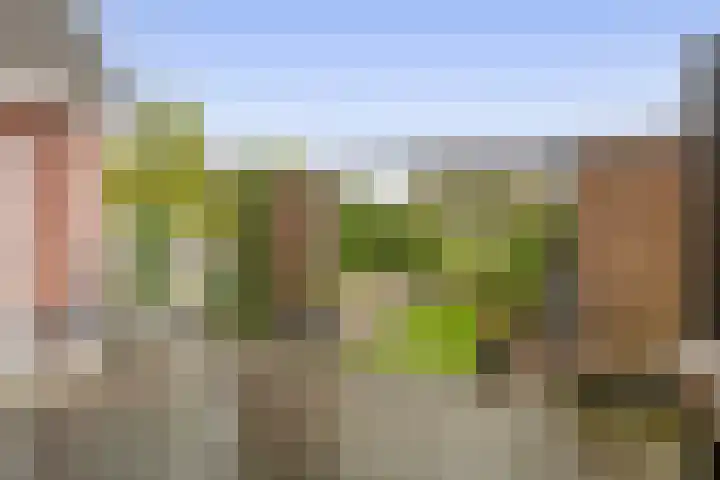 Kastanjeleane 97 Lemmer thumbnail 30