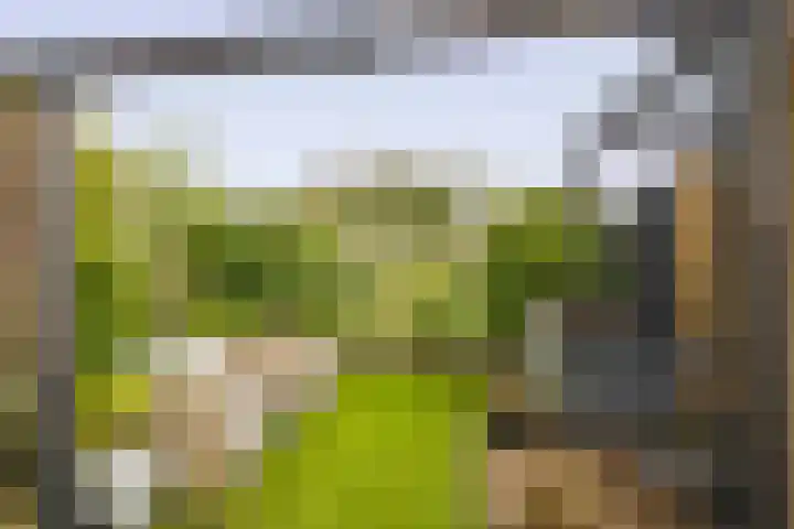 Kastanjeleane 97 Lemmer thumbnail 31