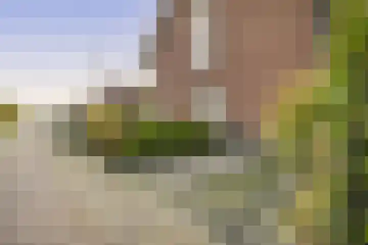 Kastanjeleane 97 Lemmer thumbnail 32