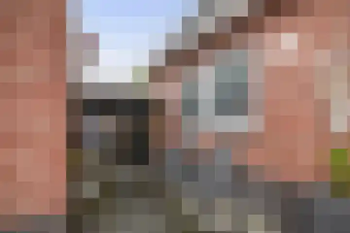 Kastanjeleane 97 Lemmer thumbnail 34
