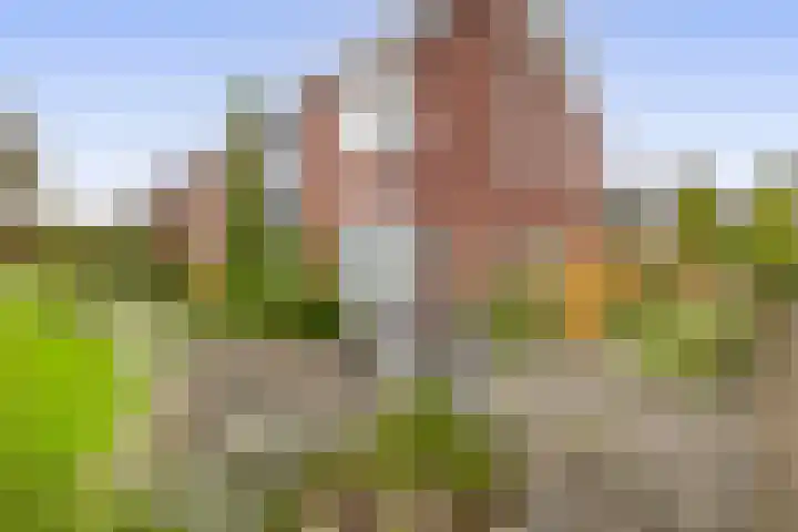 Kastanjeleane 97 Lemmer thumbnail 35