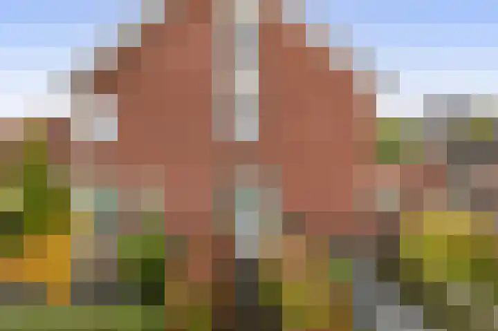 Kastanjeleane 97 Lemmer thumbnail 36