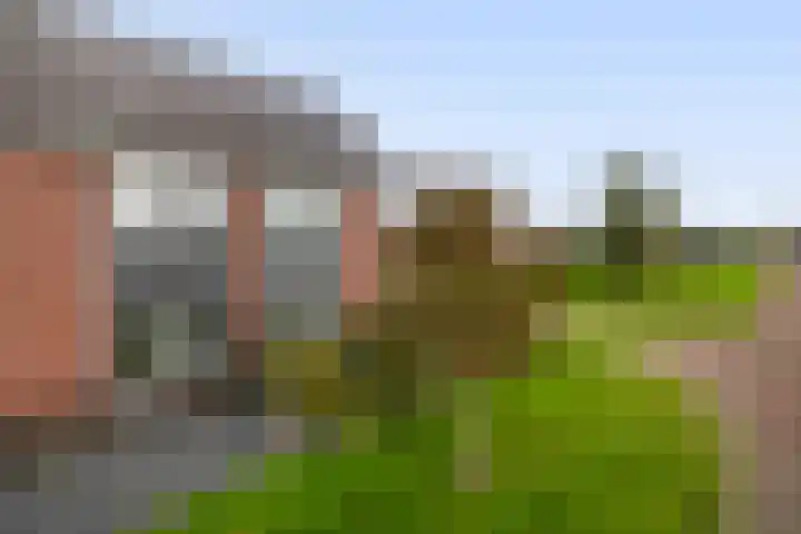 Kastanjeleane 97 Lemmer thumbnail 37