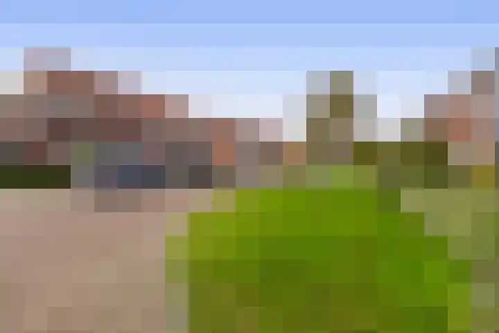 Kastanjeleane 97 Lemmer thumbnail 38