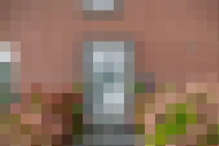 Kastanjeleane 97 Lemmer thumbnail 4