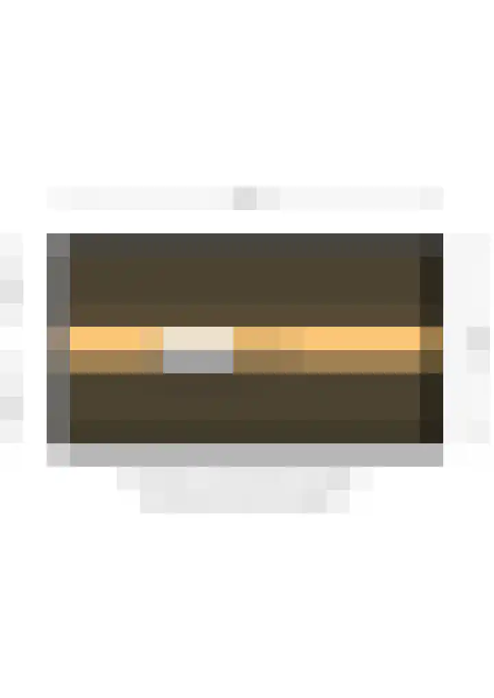 Kastanjeleane 97 Lemmer thumbnail 47