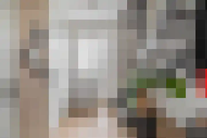Kastanjeleane 97 Lemmer thumbnail 5