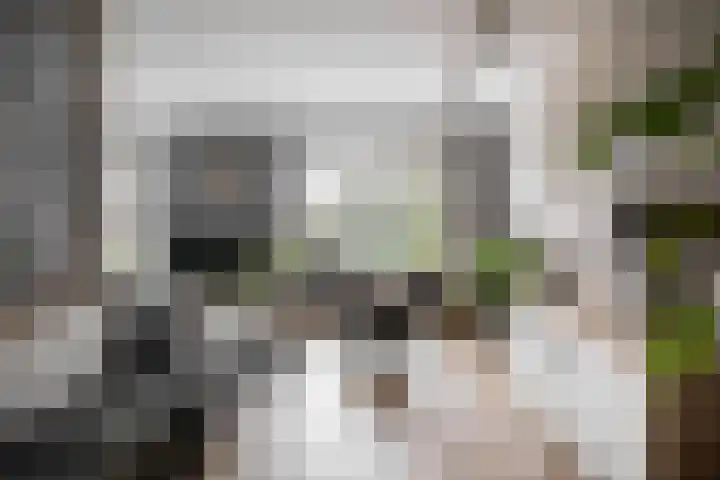 Kastanjeleane 97 Lemmer thumbnail 7