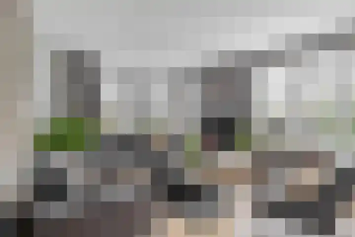 Kastanjeleane 97 Lemmer thumbnail 8