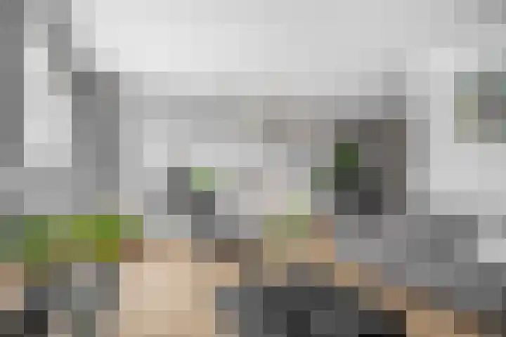 Kastanjeleane 97 Lemmer thumbnail 9