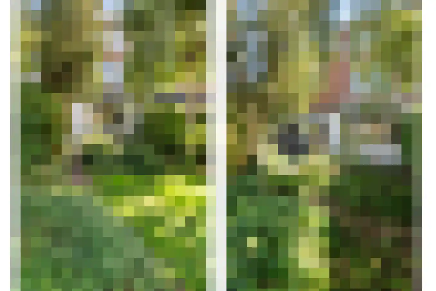 Kastanjeplein 105 Rotterdam thumbnail 5