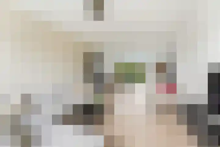 Kastanjesingel 177 A Rotterdam thumbnail 10