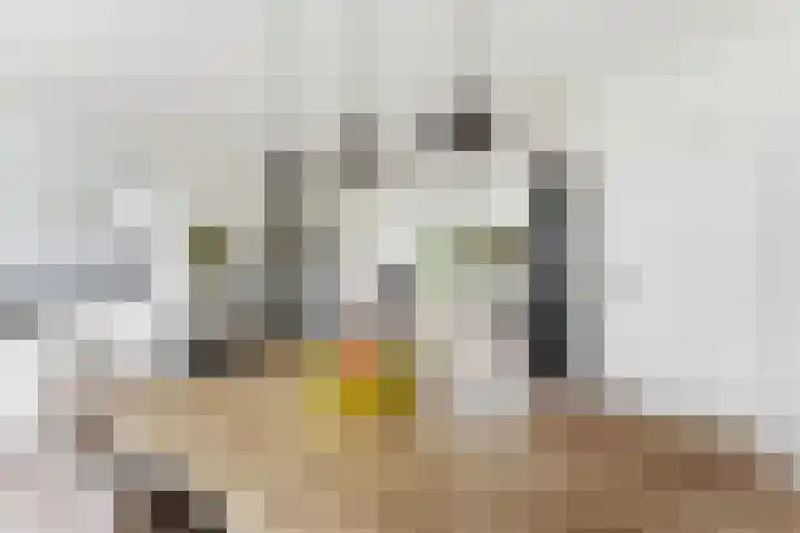 Kastanjesingel 177 A Rotterdam thumbnail 15