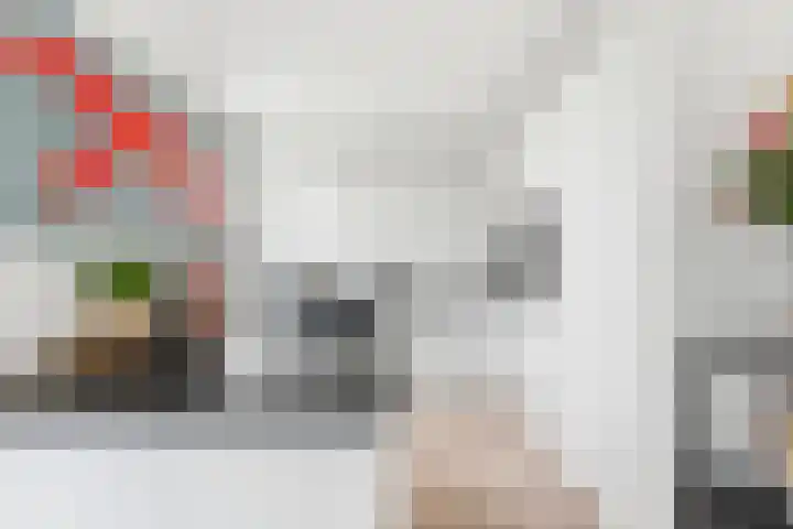 Kastanjesingel 177 A Rotterdam thumbnail 19