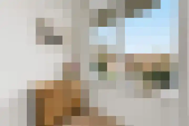 Kastanjesingel 177 A Rotterdam thumbnail 27