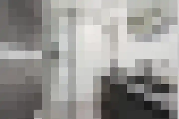 Kastanjesingel 177 A Rotterdam thumbnail 31