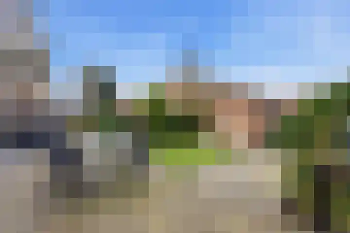 Kastanjesingel 177 A Rotterdam thumbnail 33