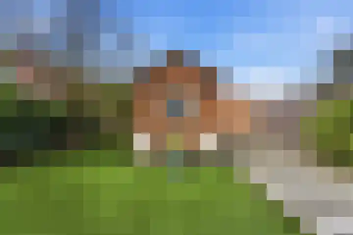 Kastanjesingel 177 A Rotterdam thumbnail 35