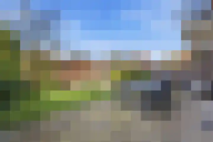 Kastanjesingel 177 A Rotterdam thumbnail 4