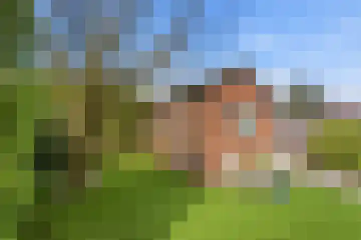 Kastanjesingel 177 A Rotterdam thumbnail 40