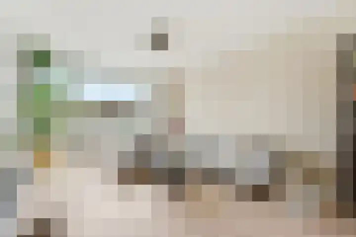 Kastanjesingel 177 A Rotterdam thumbnail 6