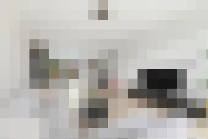 Kastanjesingel 177 A Rotterdam thumbnail 8