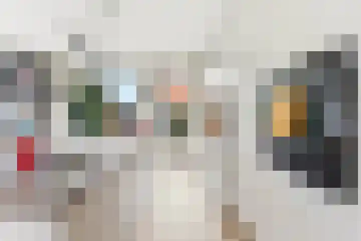 Kastanjesingel 181 B Rotterdam thumbnail 13