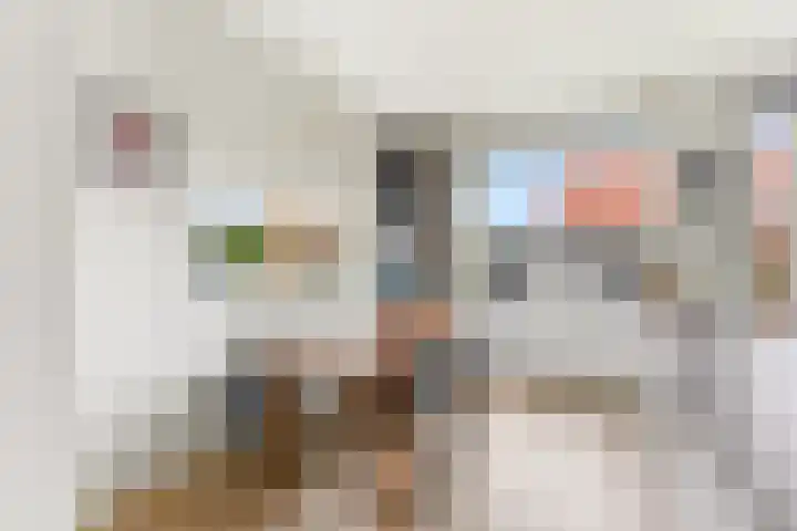Kastanjesingel 181 B Rotterdam thumbnail 21