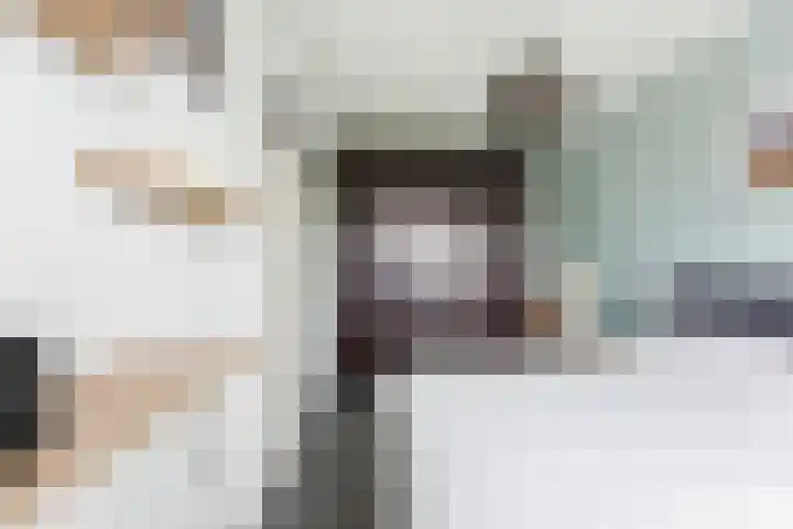 Kastanjesingel 181 B Rotterdam thumbnail 25